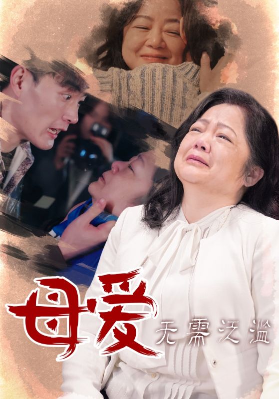 17395-母爱无需泛滥（35集）-资源V站