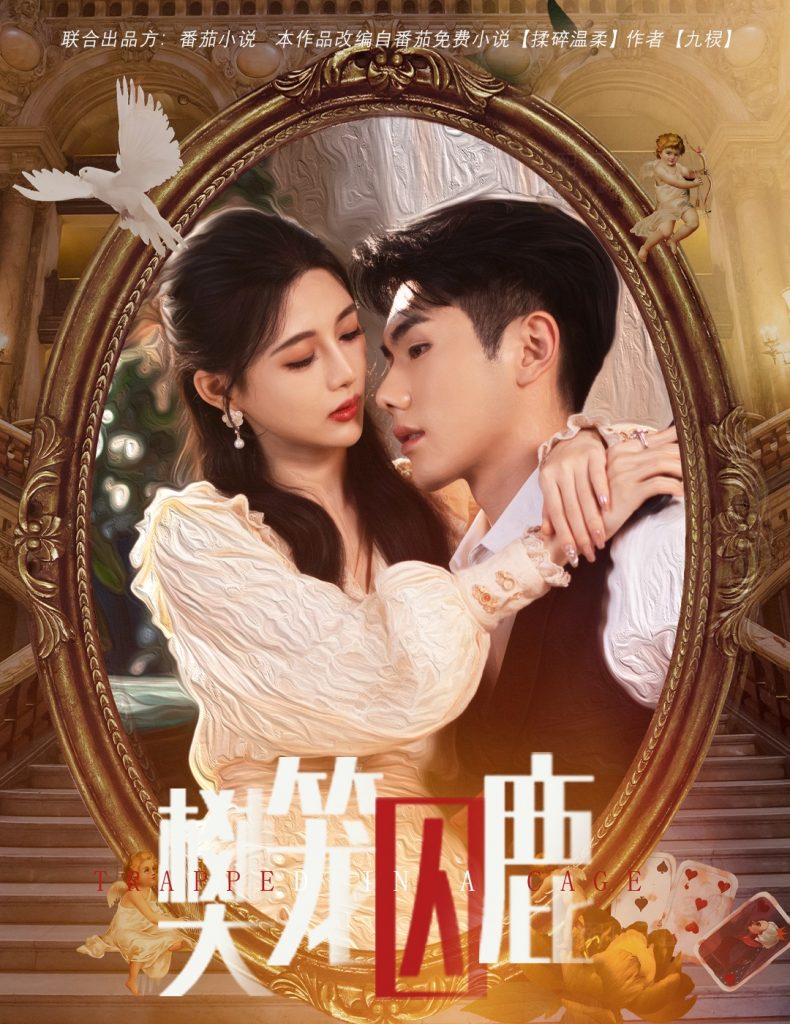 14511-樊笼囚鹿&偏执大佬的金丝雀（60集）-资源V站