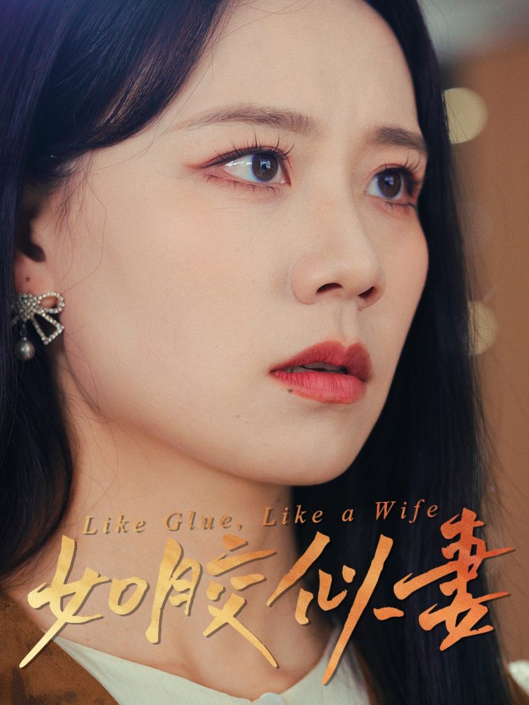 21073-如胶似妻（50集）王艳秋-资源V站