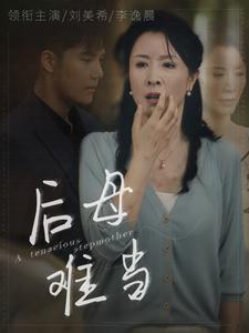 17311-后母难当（72集）-资源V站