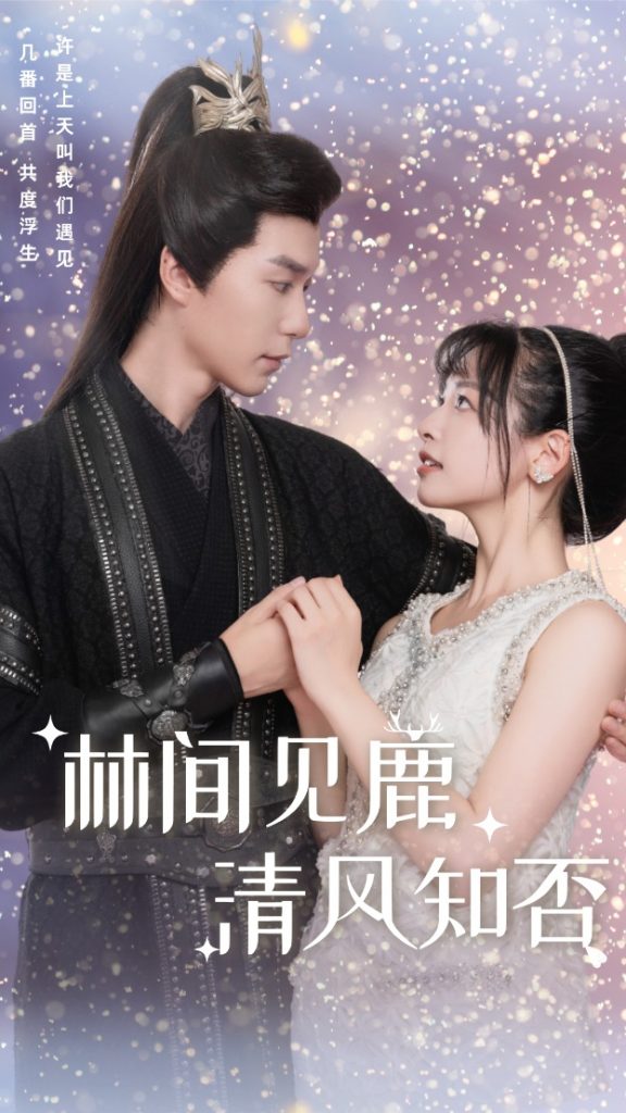 16069-林间见鹿清风知否（62集）-资源V站