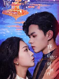 17413-我走后你别再想我（71集）-资源V站