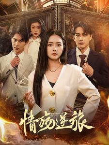 18311-情殇逆旅（90集）雷玉孟-资源V站
