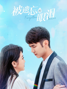 17848-被遗忘的眼泪（80集）-资源V站
