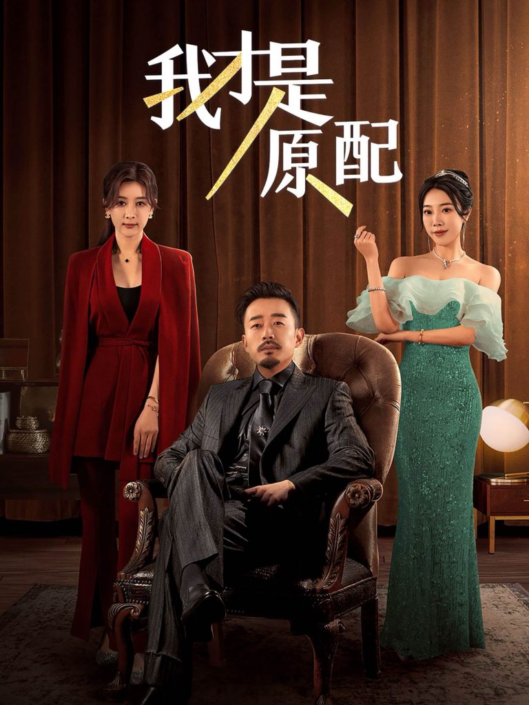 15299-我才是原配（30集）-资源V站