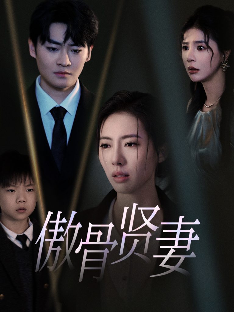 16243-傲骨贤妻（52集）-资源V站