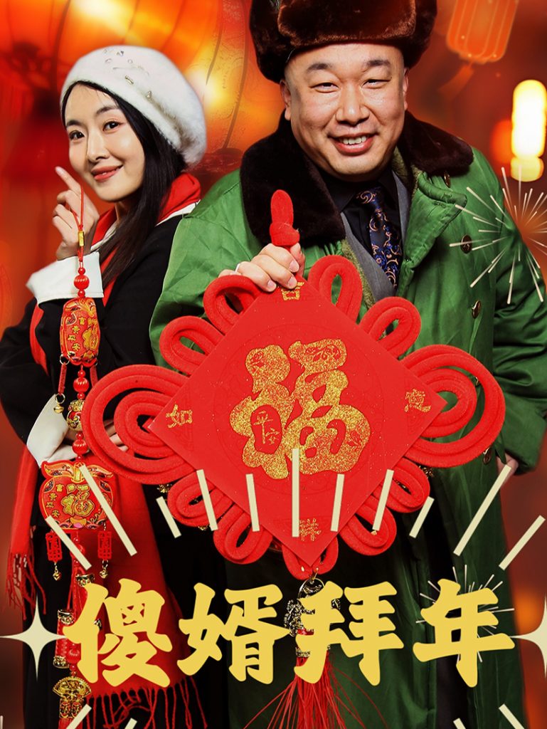 18118-傻婿拜年（32集）-资源V站