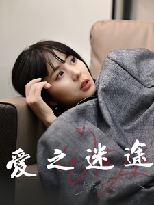 17620-爱之迷途（42集）-资源V站