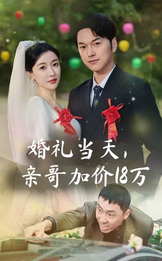 14904-婚礼当天，亲哥加价18万（36集）-资源V站