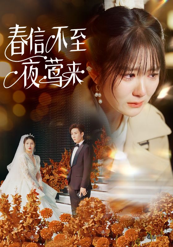 18211-春信不至夜莺来（50集）冯易鑫-资源V站