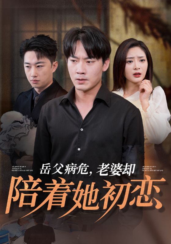 14504-岳父病危老婆却陪着她初恋（31集）-资源V站