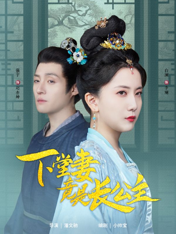 19226-下堂妻竟是长公主（74集）-资源V站
