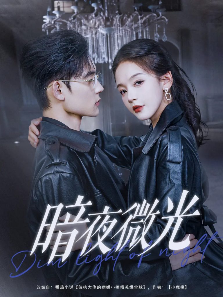 21236-暗夜微光（86集）张力壬&徐波滴-资源V站