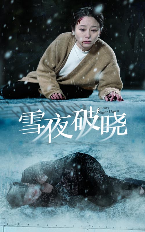 14843-雪夜破晓（36集）-资源V站