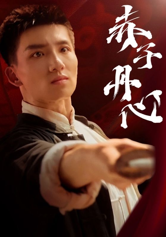 17611-赤子丹心（48集）霍文琦-资源V站