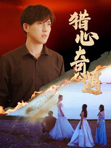 15048-猎心奇遇（91集）-资源V站