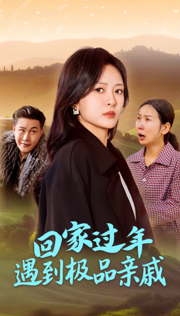 16947-回家过年遇到极品亲戚（29集）-资源V站