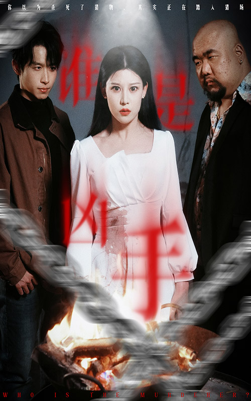 19509-谁是凶手（31集）严浩&刘欣然&刘美一-资源V站