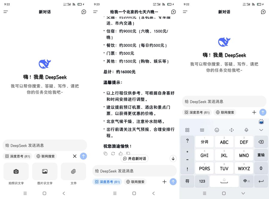 DeepSeeK1.1.5最新升级版满血Ai深度思考-资源V站