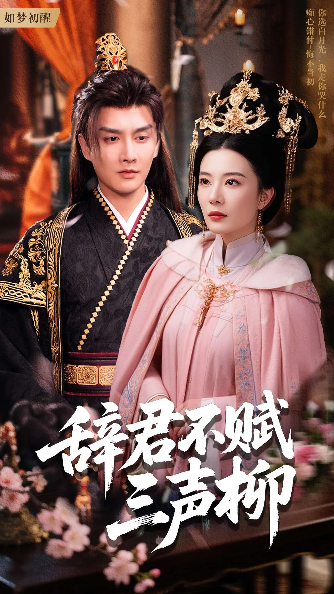 21492-辞君不赋三声柳（73集）王嫚嫚-资源V站
