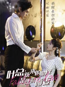 15045-叶总新来的助理是您的哑妻（45集）-资源V站