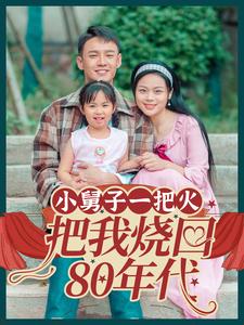 14595-小舅子一把火把我烧回80年代（100集）-资源V站