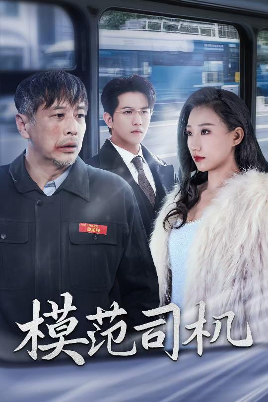 16999-模范司机（30集）-资源V站