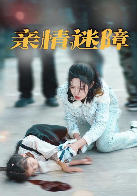 19930-亲情迷障（50集）庄夏播＆胡继月-资源V站