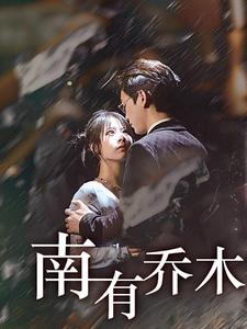 18302-南有乔木（60集）-资源V站