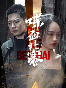 17308-喋血北寨（90集）-资源V站