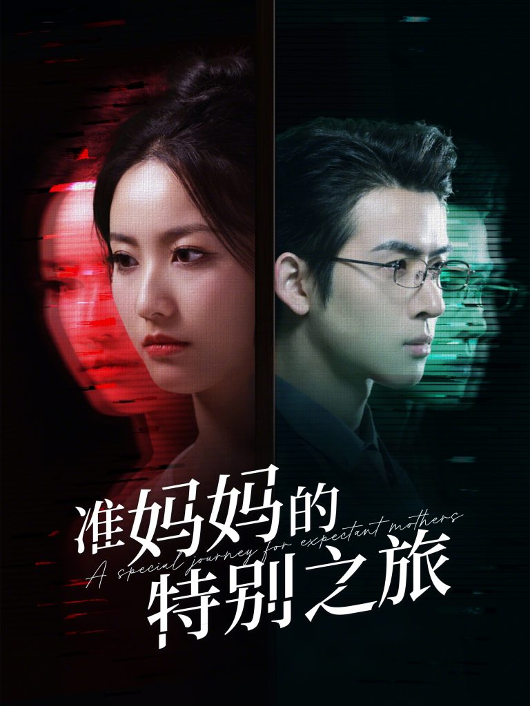 20034-准妈妈的特别之旅（80集）-资源V站