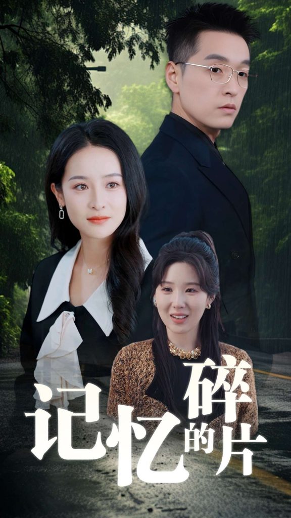 16441-记忆的碎片（50集）赵龙＆王蔼玲-资源V站
