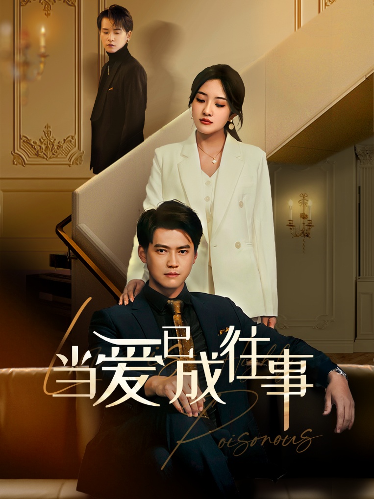 16310-新：当爱已成往事（60集）-资源V站