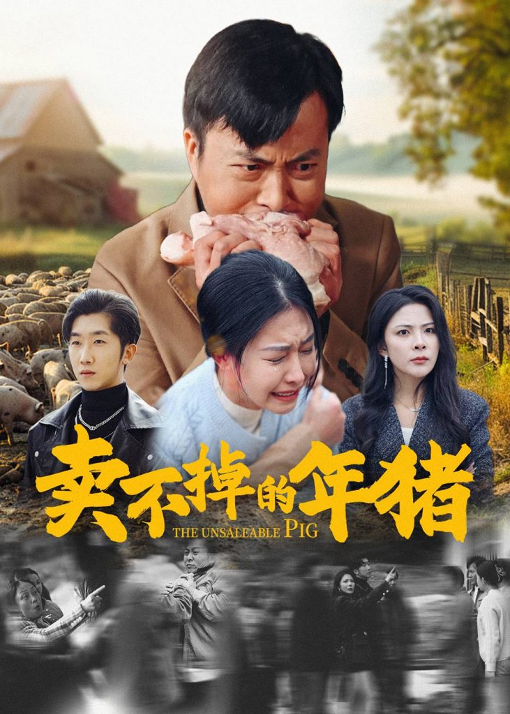 17163-卖不掉的年猪（35集）-资源V站