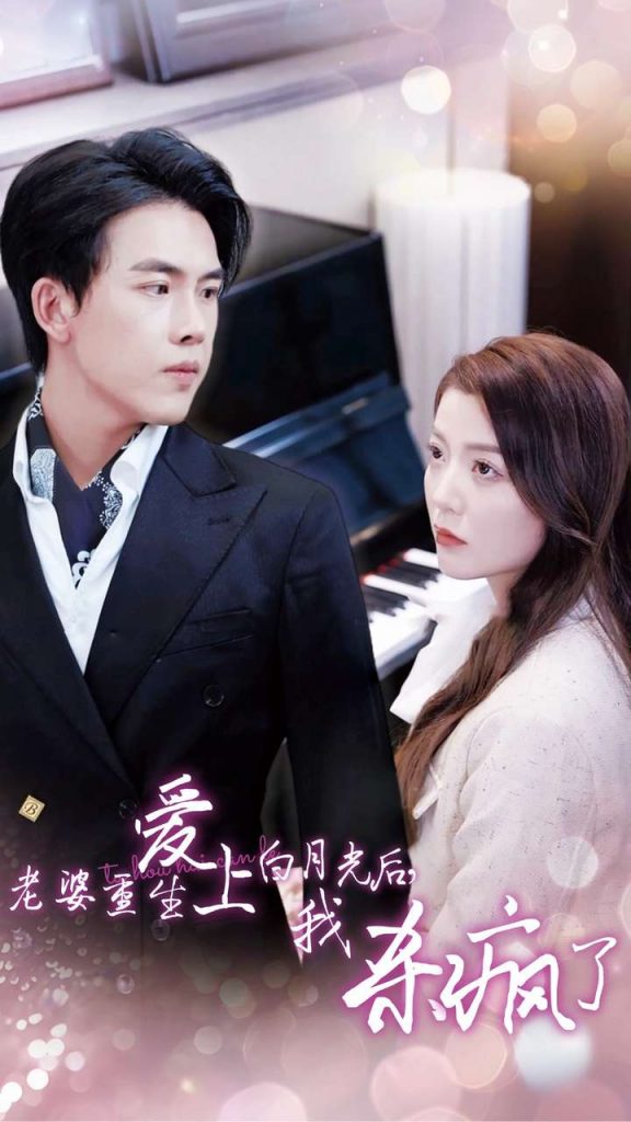 14290-老婆重生爱上白月光后，我杀疯了（47集）-资源V站
