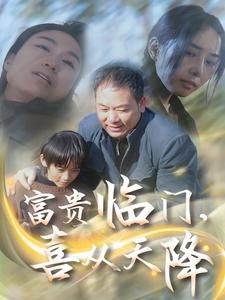 17929-富贵临门，喜从天降（18集）-资源V站