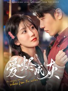 17012-爱烬成灰（99集）-资源V站