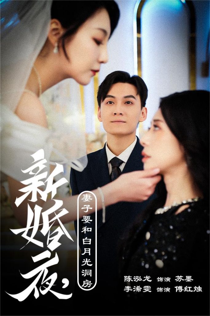 15476-新婚夜，妻子要和白月光洞房$礼尚往来（30集）-资源V站