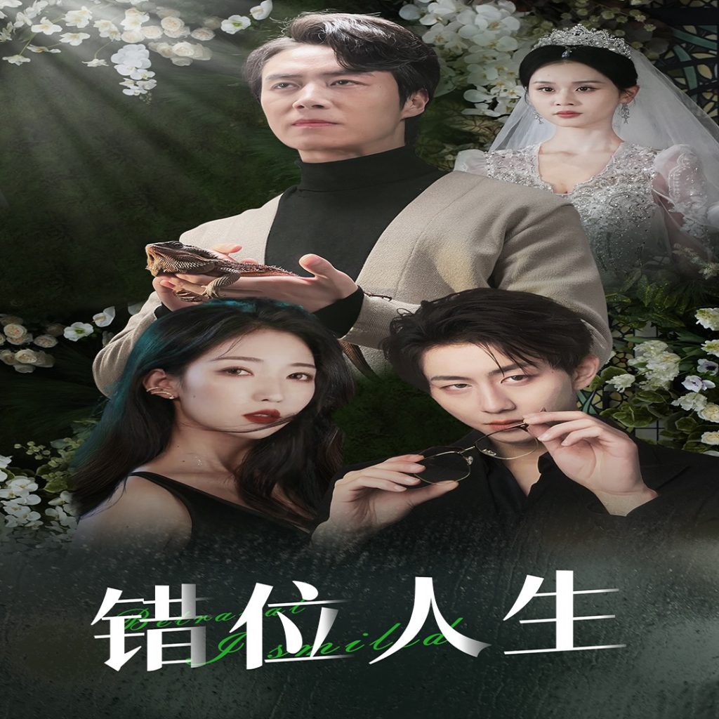 15600-错位人生&养大他人的儿子后我笑了（33集）-资源V站