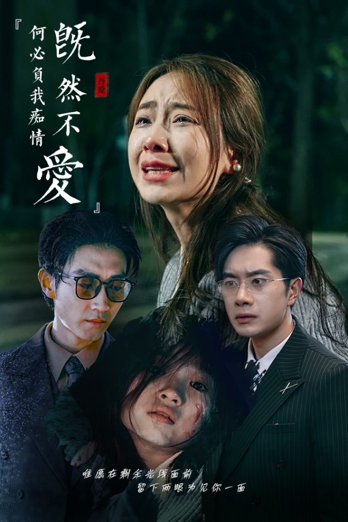 15078-既然不爱何必负我痴情（53集）-资源V站