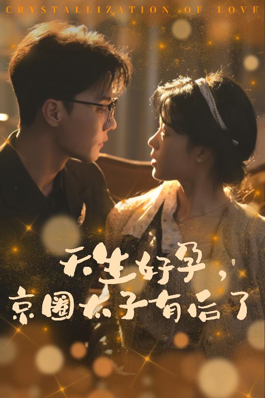 15828-天生好孕京圈太子有后了&你与光共落人间（30集）杜亚飞-资源V站