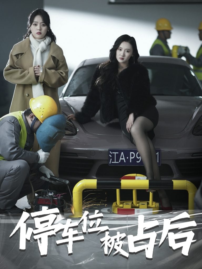 16428-停车位被占后（80集）-资源V站