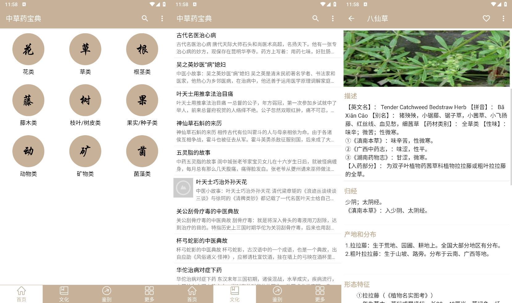 安卓中草药宝典v2.6.12纯净版-资源V站