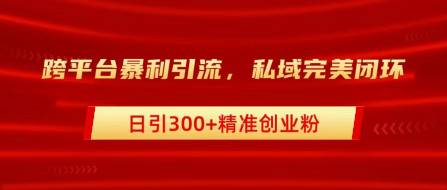跨平台暴力引流，私域完美闭环，日引300+精准创业粉-资源V站