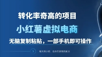一单49.9，转化率奇高的项目，冷门暴利的小红书虚拟电商-资源V站