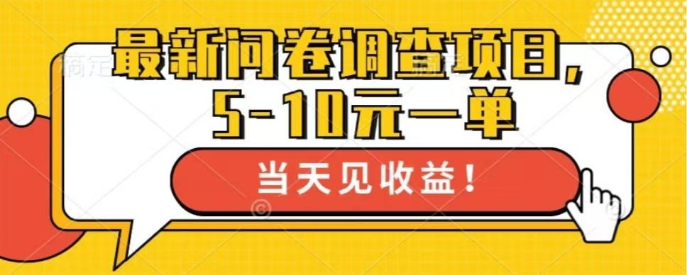 最新问卷调查项目，共12个平台，单日零撸100＋-资源V站