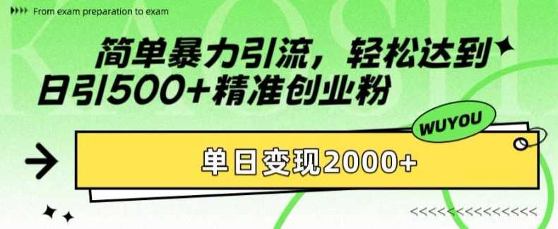 简单暴力引流轻松达到日引500+精准创业粉，单日变现2k【揭秘】-资源V站