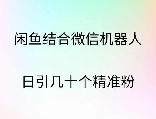 闲鱼结合微信机器人，日引几十个精准粉-资源V站