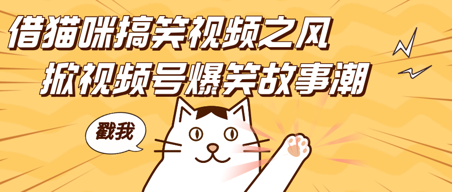 借猫咪搞笑视频之风，掀视频号爆笑故事潮，轻松日赚四位数，开启无门槛赚钱新体验！-资源V站