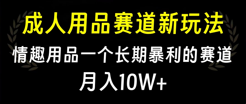 大人用品赛道新玩法，情趣用品一个长期暴利的赛道，月入10W+-资源V站